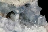 Blue Celestine (Celestite) Crystal Geode - Madagascar #70828-2